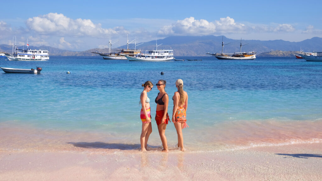 Explore Komodo Islands the Smart Way with an Open Trip