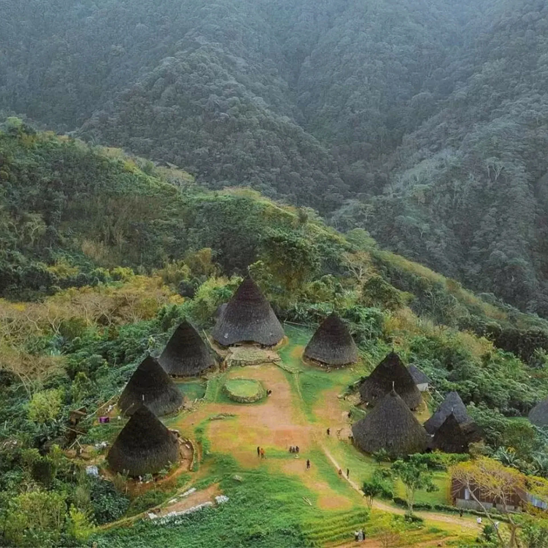 Flores Tour_Komodo Nest Tour