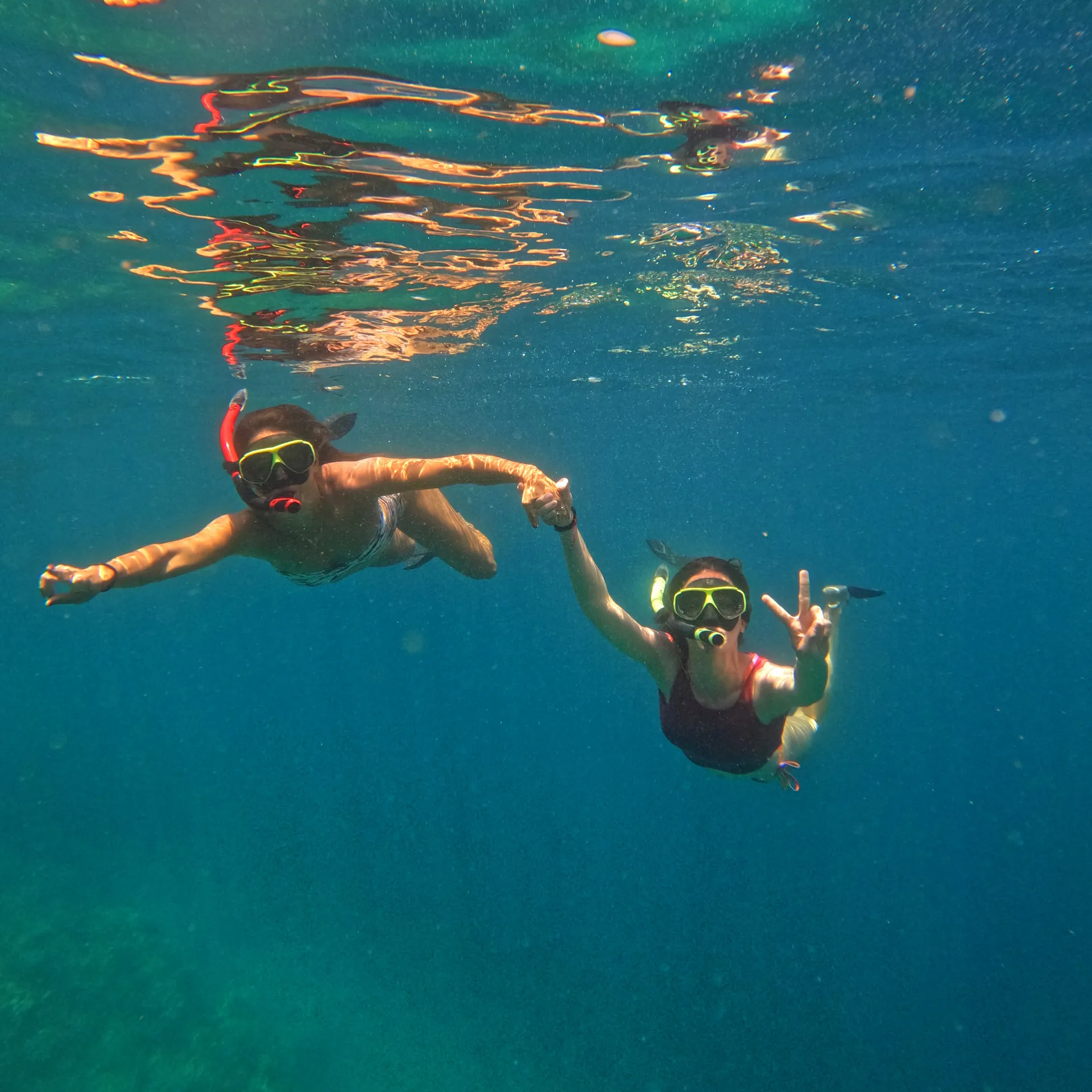 Komodo Nest Tour_about us_under water